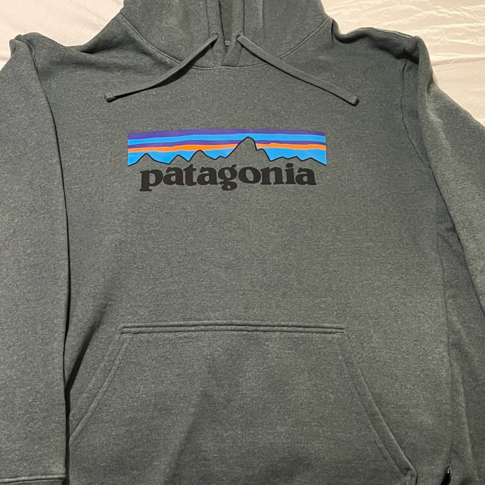 Patagonia men hoodie size XL